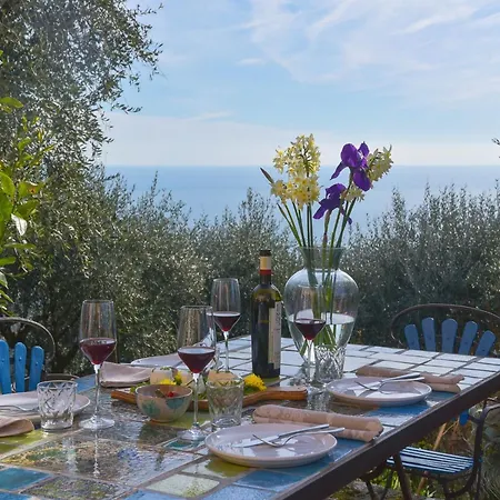 Villa In Rapallo With Sea View And Olive Yards, Cleaning Included Villa *