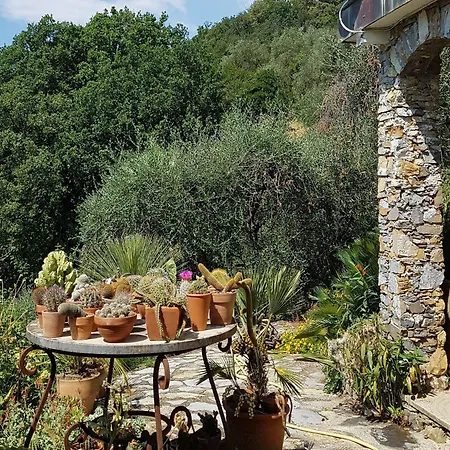 Villa Villa In Rapallo With Sea View And Olive Yards, Cleaning Included *