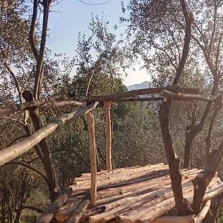 Villa In Rapallo With Sea View And Olive Yards, Cleaning Included Rapallo