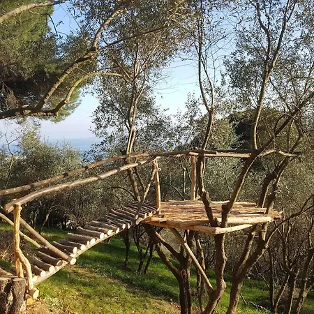 Villa In Rapallo With Sea View And Olive Yards, Cleaning Included Villa