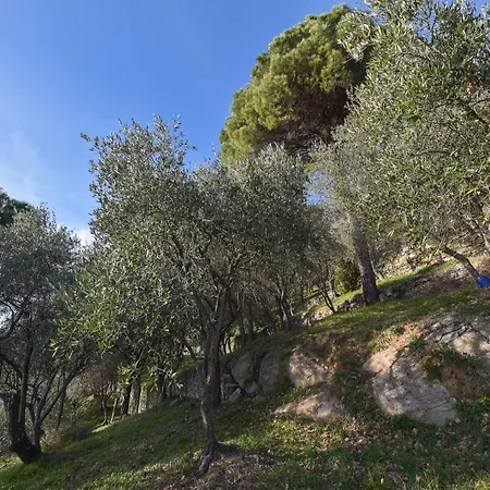 Villa Villa In Rapallo With Sea View And Olive Yards, Cleaning Included *