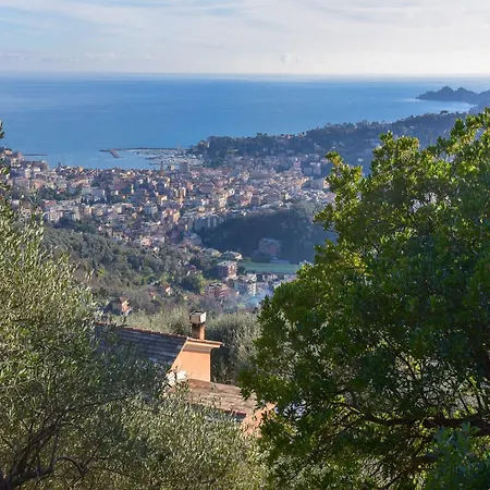 Villa Villa In Rapallo With Sea View And Olive Yards, Cleaning Included Rapallo